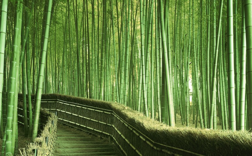 Bambu, Material Alternatif yang Ramah Lingkungan