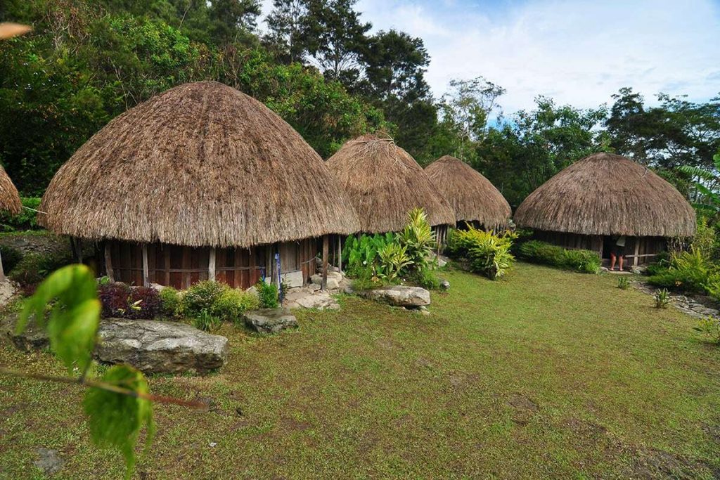 Rumah Adat Papua Honai