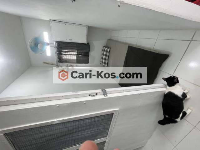 Rumah Kontrakkan&Kosan Orange Alm H Ach Ramli