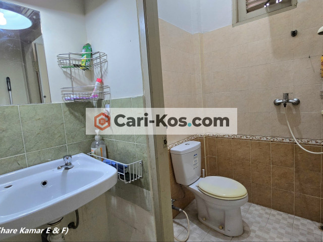 Kost Premium & Pasutri